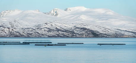 Norway Fishfarms