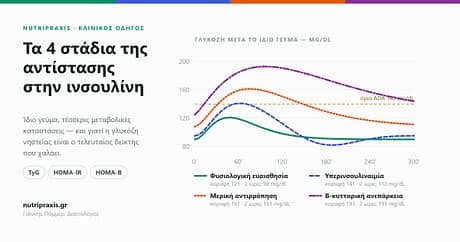 Τέσσερις καμπύλες γλυκόζης μετά το ίδιο γεύμα: φυσιολογική ευαισθησία 121, υπερινσουλιναιμία 141 με πτώση κάτω από τη νηστεία, μερική αντιρρόπηση 161 και β-κυτταρική ανεπάρκεια 193 mg/dL, με το όριο 140 της ADA.