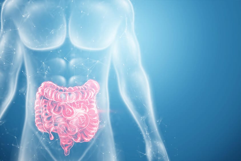 Κατανόηση των FODMAPs: IBS και πεπτικές ενοχλήσεις